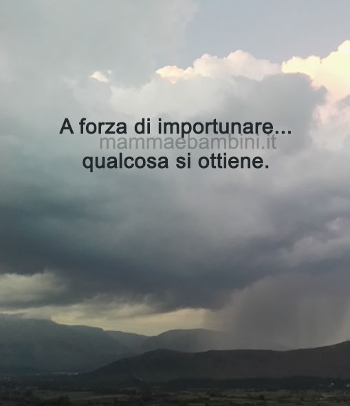 frase del giorno importunare