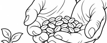 mani con semi di grano