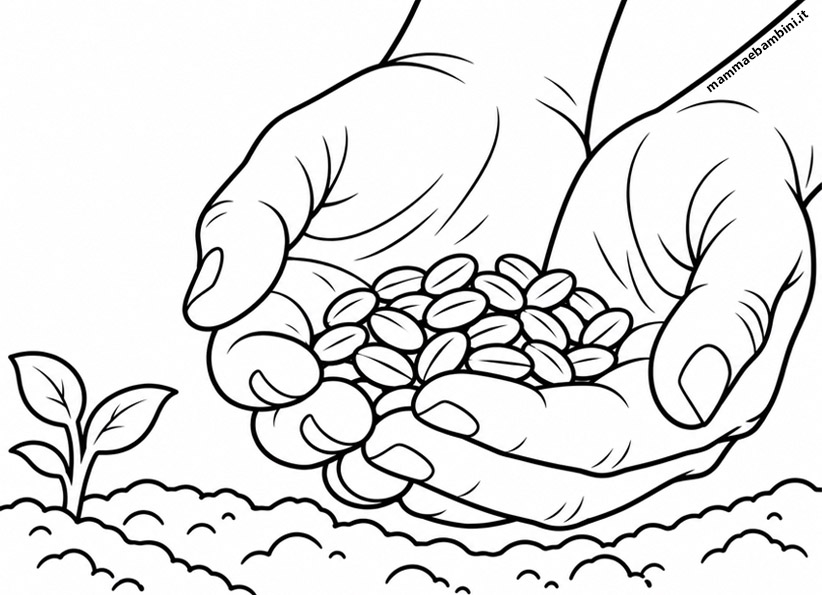 mani con semi di grano