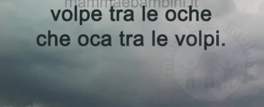 frase del giorno comportamento