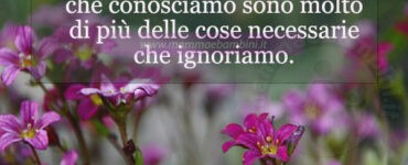 frase del giorno cose