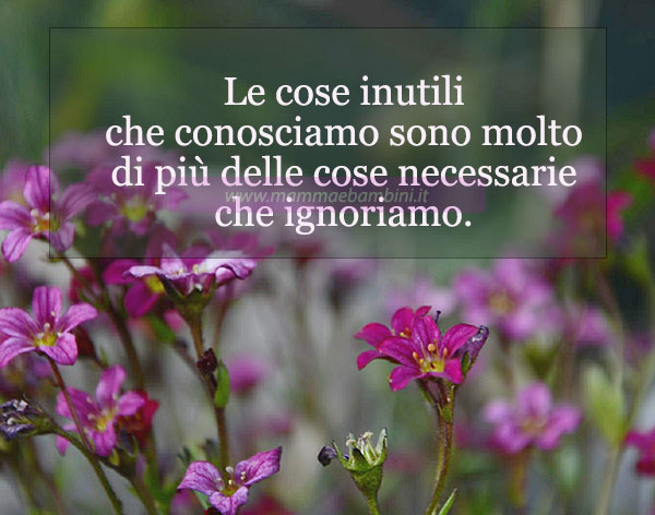 Frase del giorno 22 marzo sulle cose inutili 1 frase del giorno cose