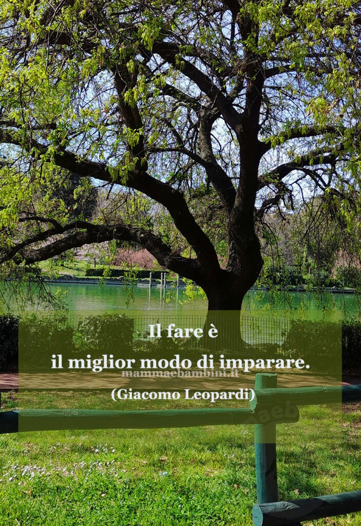 Frase del giorno 13 maggio su imparare 1 frase del giorno imparare