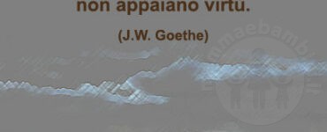 frase del giorno amare