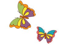 farfalla grandi
