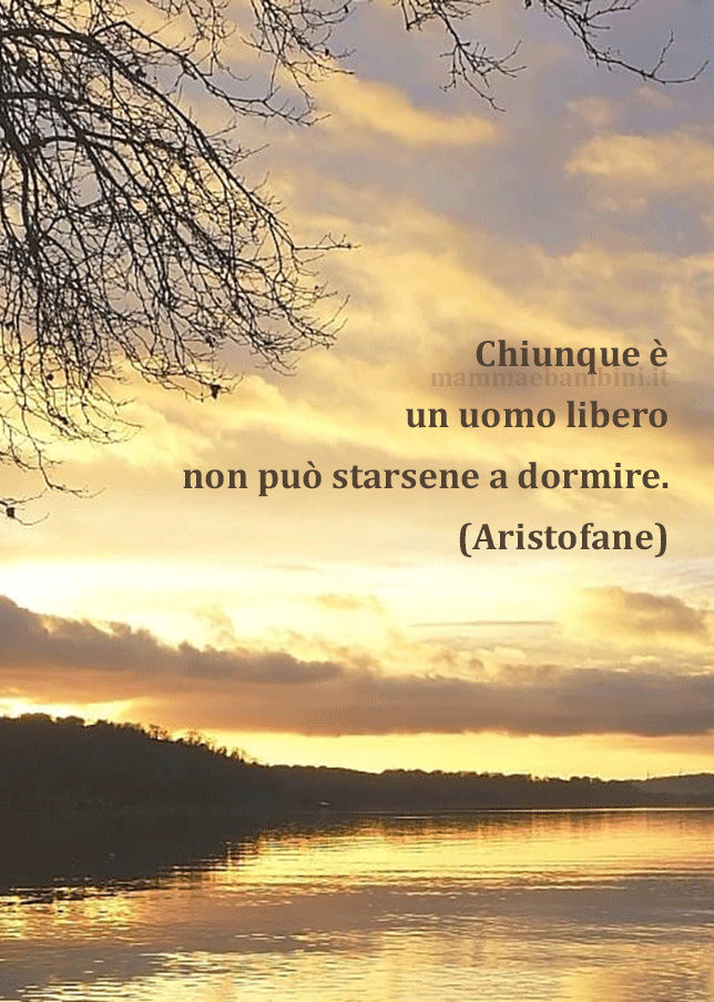 fraae del giorno