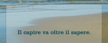 frase del giorno capire