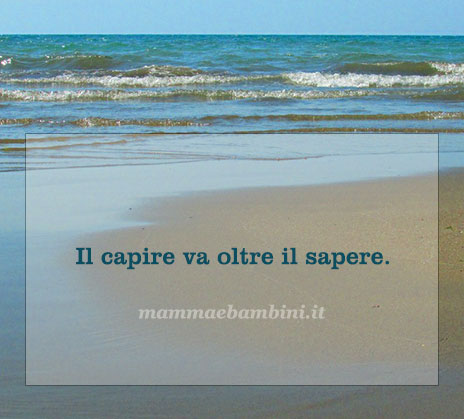 Frase del giorno 19 luglio su capire 1 frase del giorno capire