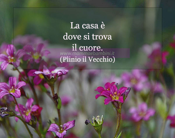 Frase del giorno 26 luglio sulla casa 1 frase del giorno casa