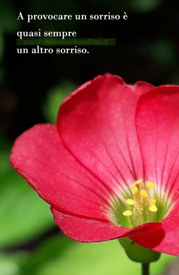 Frase del giorno 29 luglio sui sorrisi 1 frase del giorno sorrisi