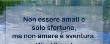frase del giorno amare