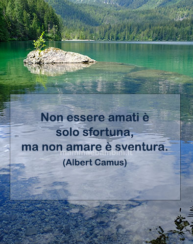 Frase del giorno 5 agosto su amare 1 frase del giorno amare