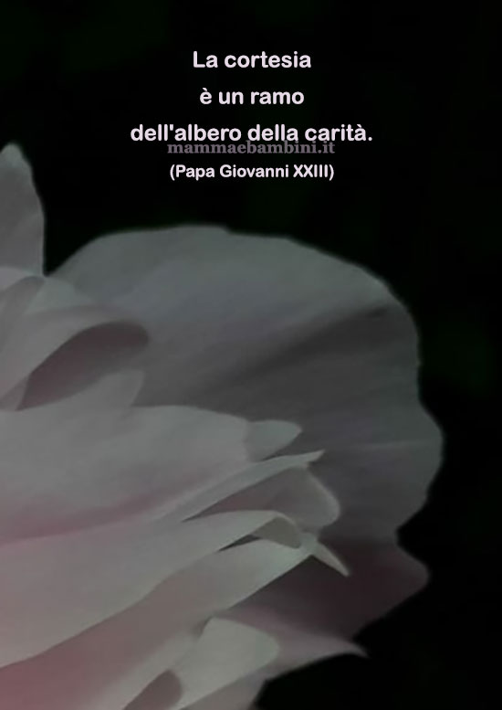 frase del giorno cortesia