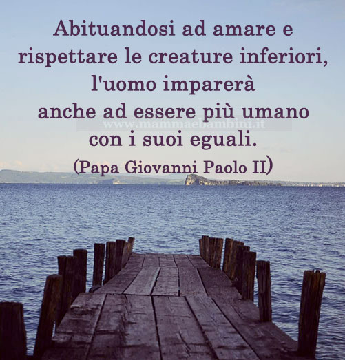 frase del giorno 2