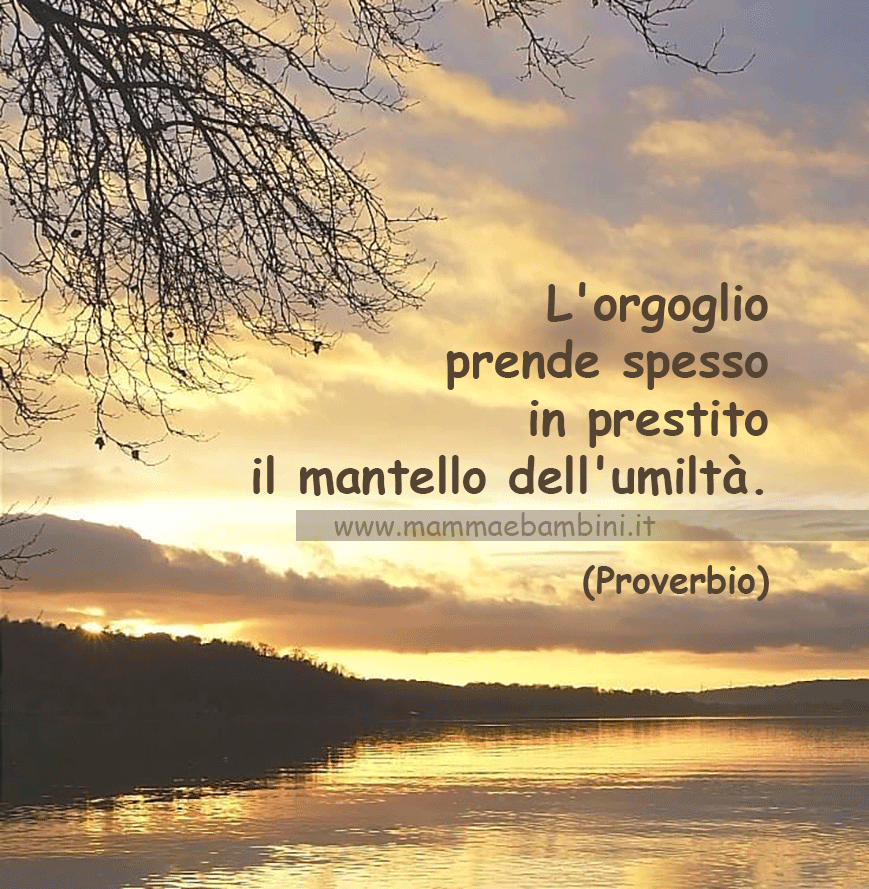 frase orgoglio