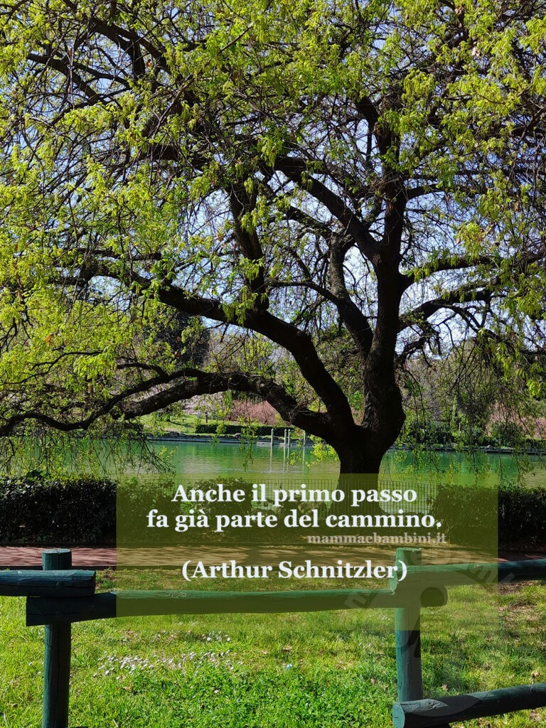 Frase del giorno 27 ottobre sul cammino della vita 1 frase vita 2