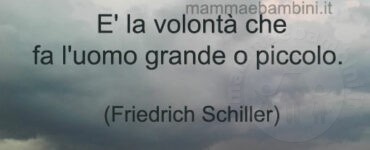 frase volonta