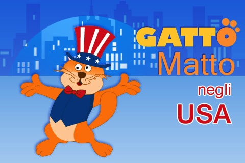 gatto matto negli usa