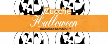zucche