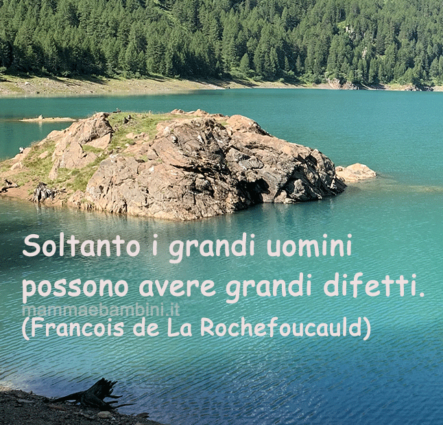 Frase del giorno 20 gennaio sui difetti 1 frase difetti