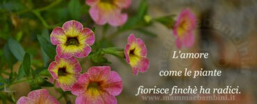 frase del giorno amore