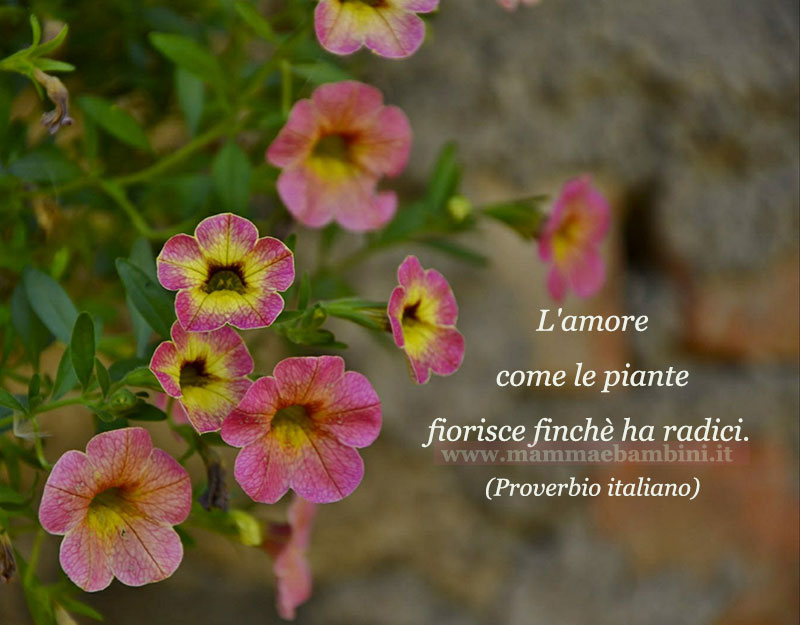 frase del giorno amore