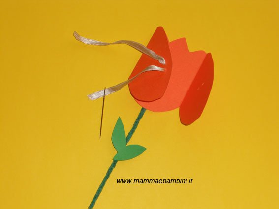 tulipano d