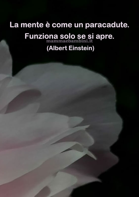frase del giorno mente