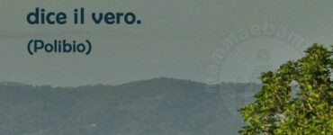 frase del giorno bugiardo
