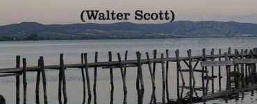 frase del giorno allegria