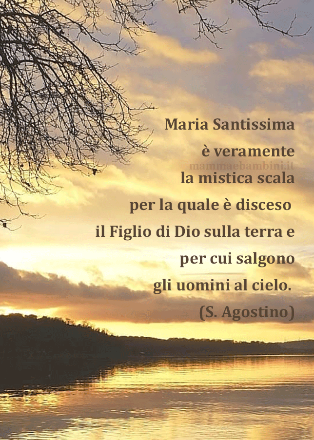 Frase del giorno 15 agosto su Maria Santissima 1 frase del giorno maria santissima