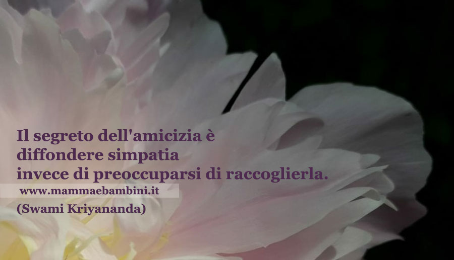 frase amicizia