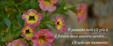 frase del giorno vivere