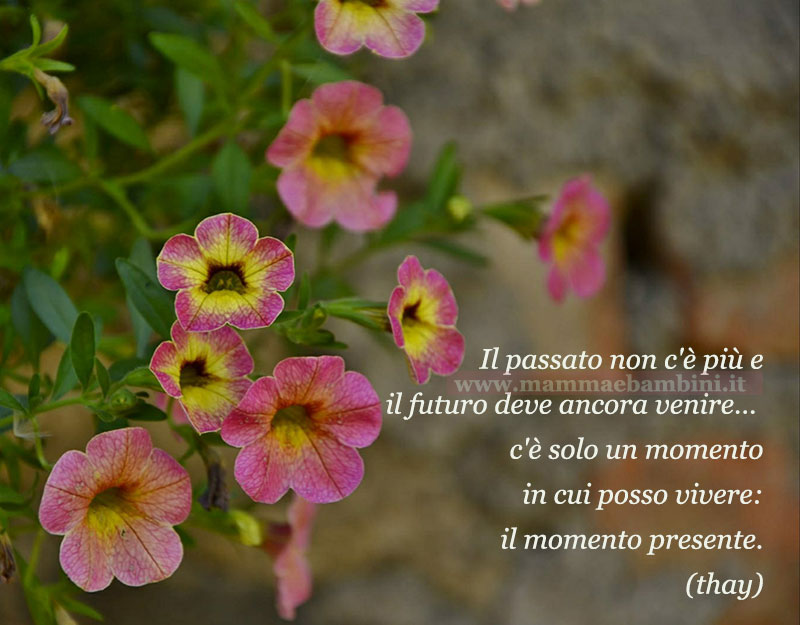 Frase del giorno 10 settembre sul tempo 1 frase del giorno vivere