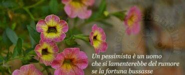 frase pessimista