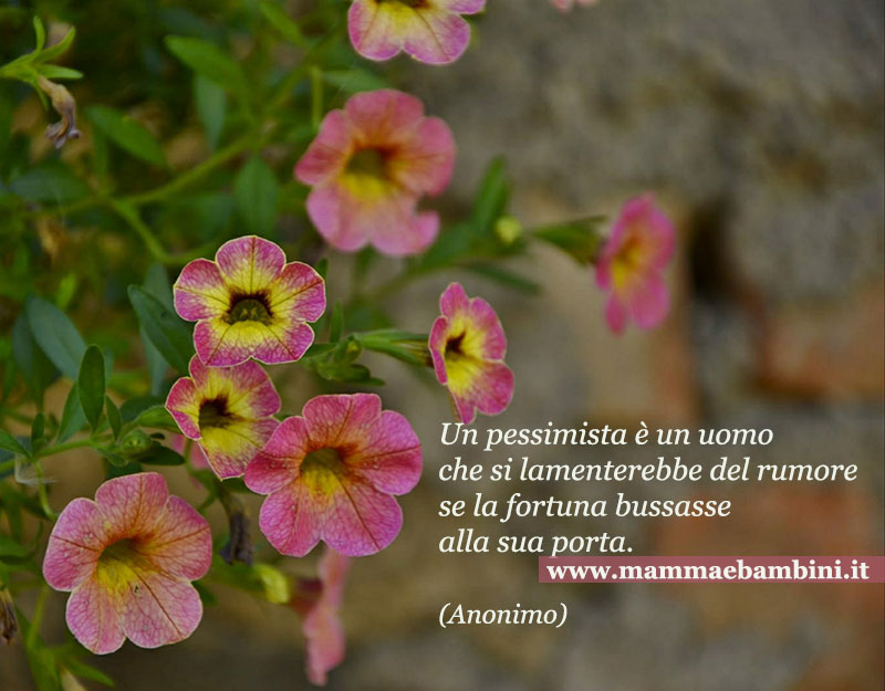 frase pessimista