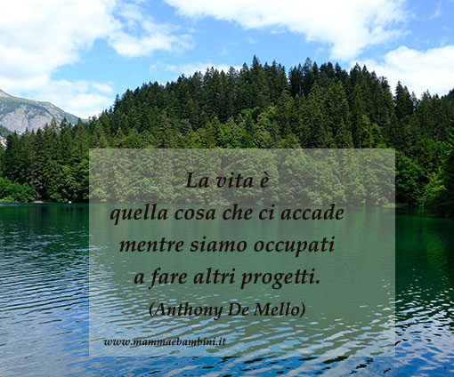 frase vita