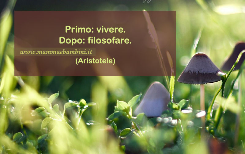 Frase del giorno 22.11 vivere 1 frase vivere