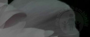 frase del giorno serenita