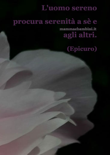 Frase del giorno 28 gennaio sulla serenita' 1 frase del giorno serenita