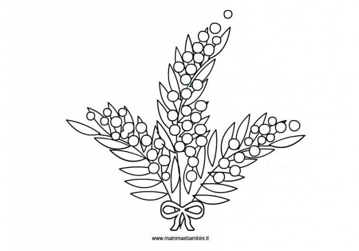 Disegno Mimosa Da Stampare E Colorare Mamma E Bambini
