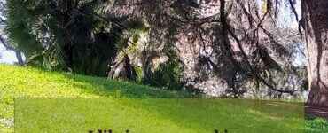 frase del giorno libri