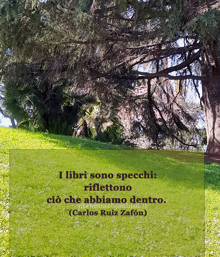 Frase del giorno 28 maggio sui libri 1 frase del giorno libri