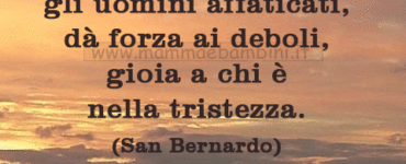 frase del giorno carita