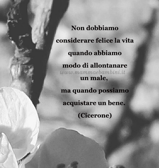 frase del giorno 1