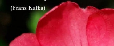 frase del giorno futuro