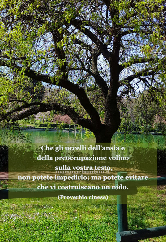 Frase del giorno 7 agosto sull'ansia 1 frase del giorno invidia