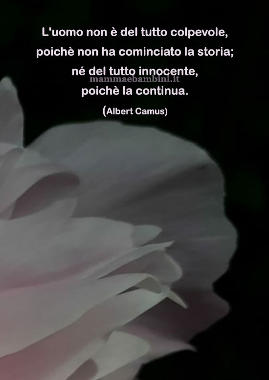 Frase del giorno 14 agosto sulla storia 1 frase del giorno storia 1