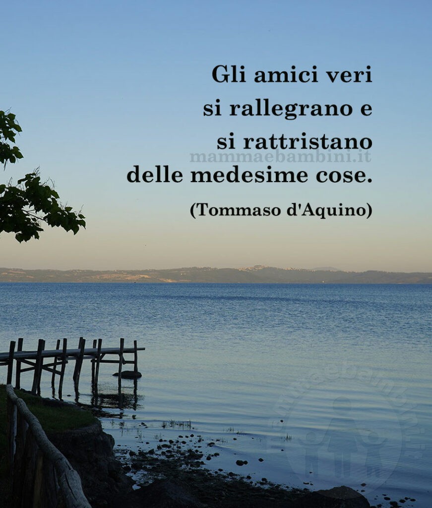 frase amici veri