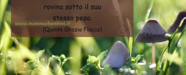 frase forza 1
